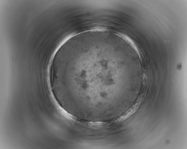 X0000099570859200805161515