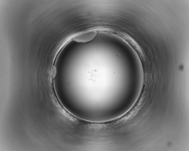 X0000099570860200805161515