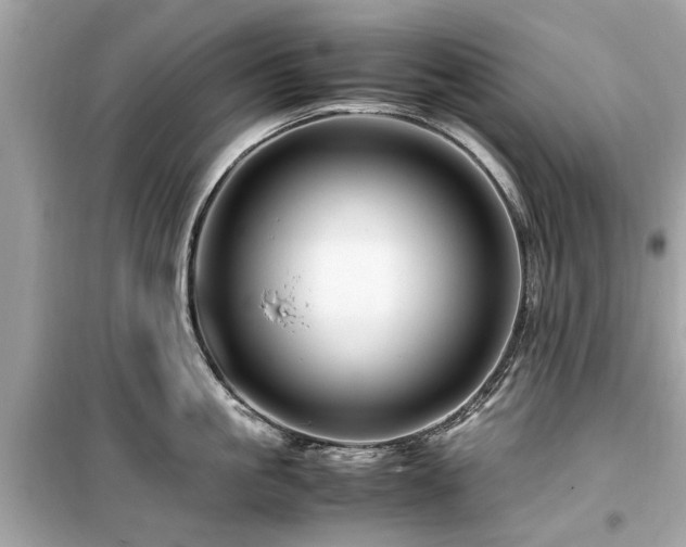 X0000099570861200805161515