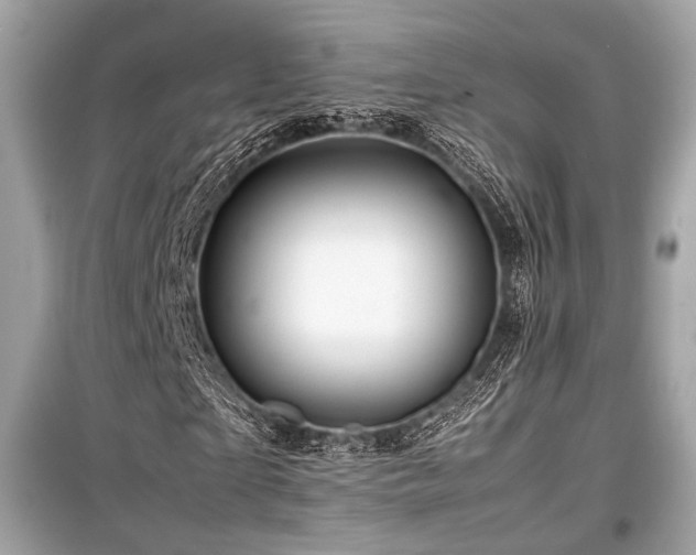 X0000099570865200805161514