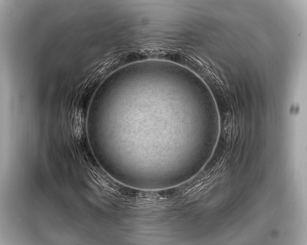 X0000099570866200805161514