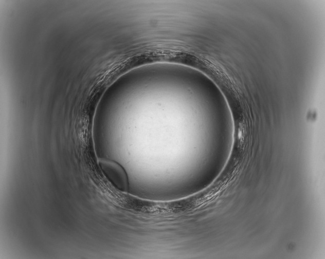 X0000099570867200805161514