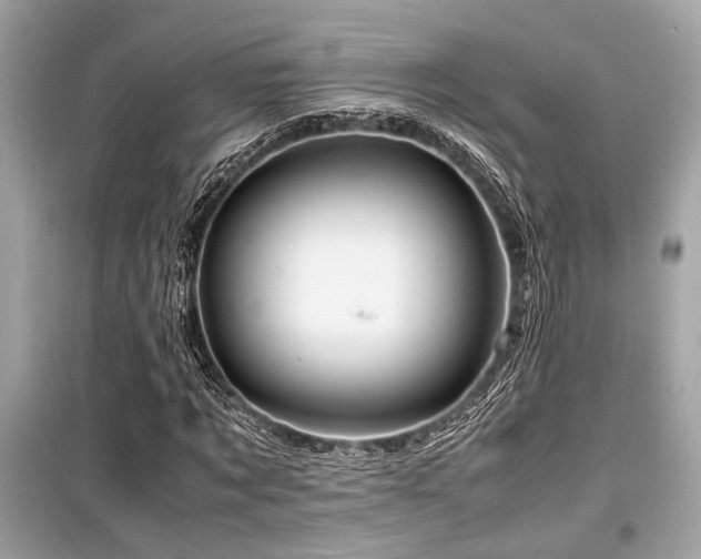 X0000099570869200805161514