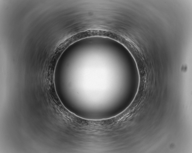 X0000099570870200805161514