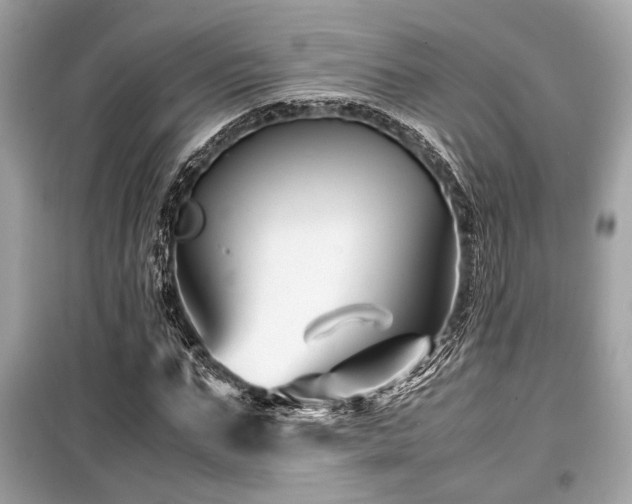 X0000099570871200805161514