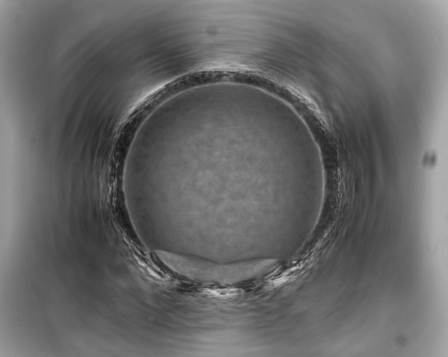 X0000099570872200805161514