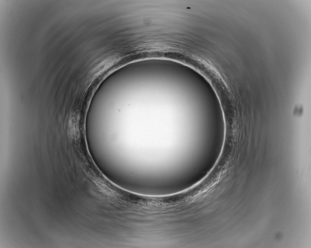 X0000099570873200805161514