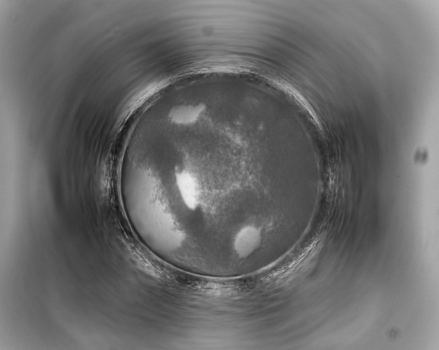 X0000099570874200805161514