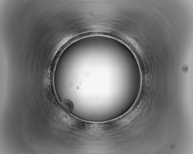 X0000099570875200805161514