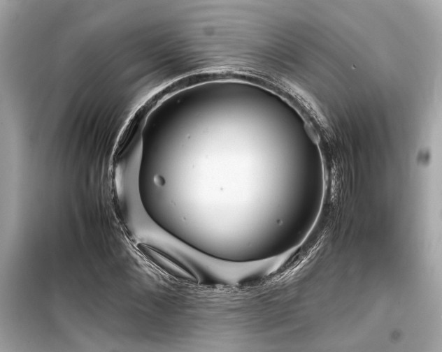 X0000099570876200805161514