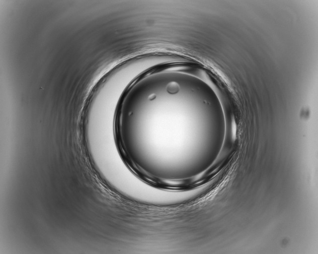 X0000099570877200805161514