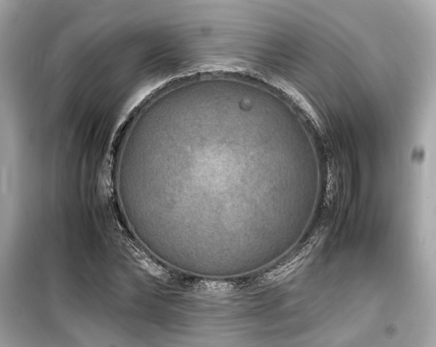 X0000099570878200805161514