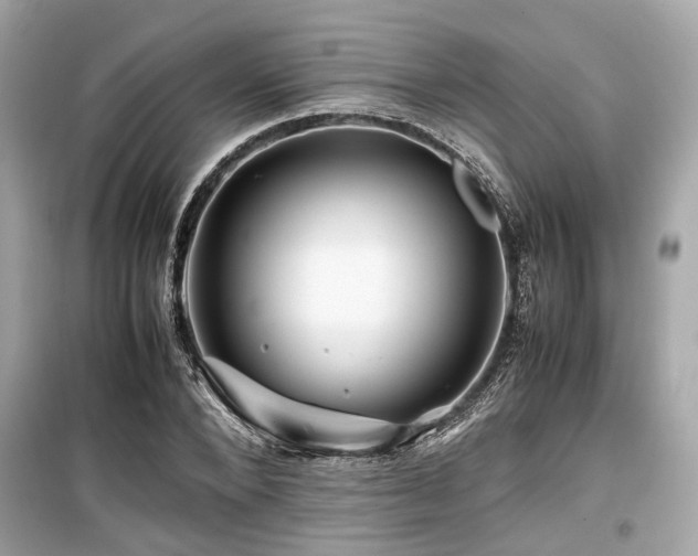 X0000099570880200805161514