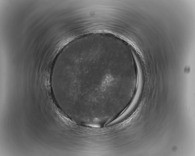 X0000099570881200805161514