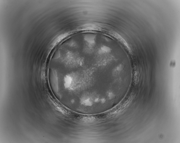 X0000099570882200805161514