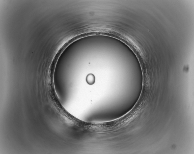 X0000099570883200805161514