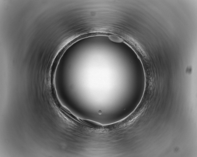 X0000099570884200805161514