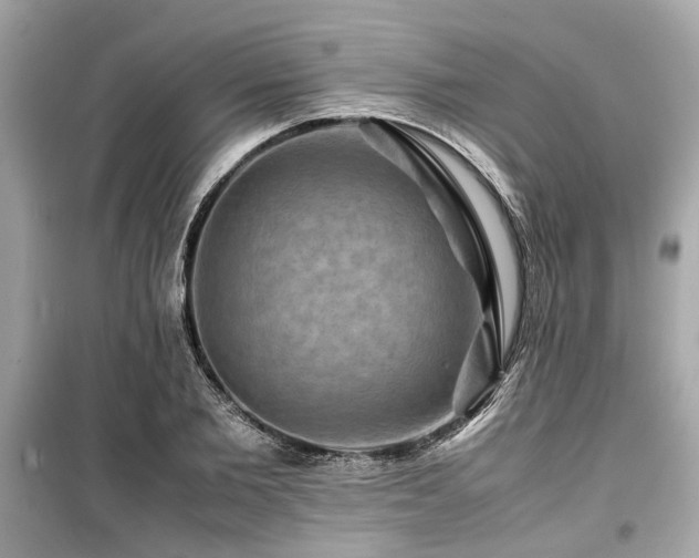 X0000099570885200805161514