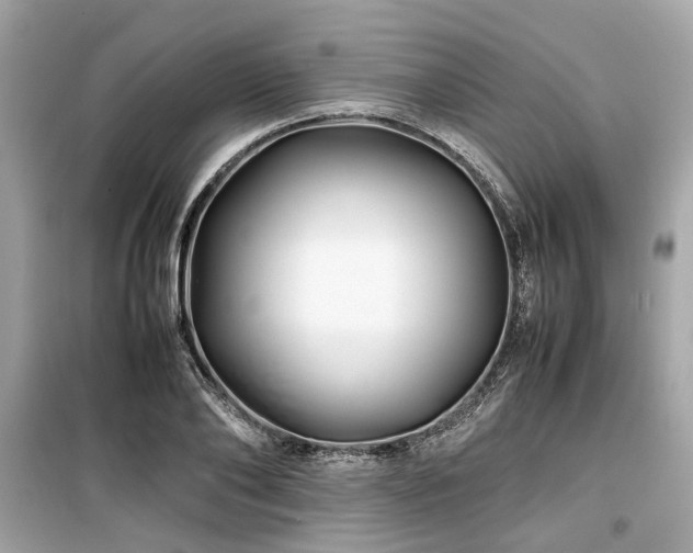 X0000099570886200805161514