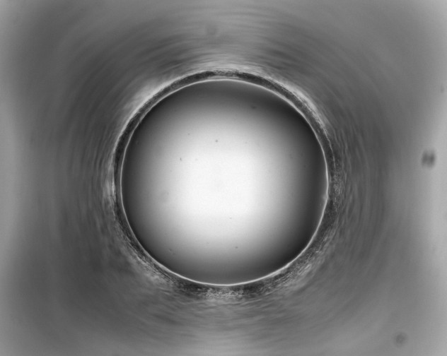 X0000099570887200805161514