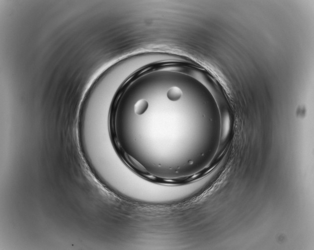 X0000099570888200805161514