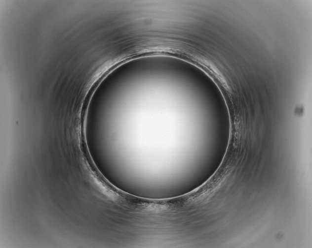 X0000099570890200805161514