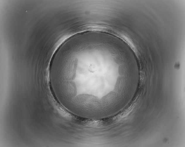 X0000099570891200805161514