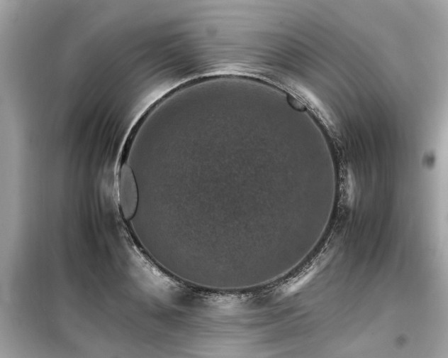 X0000099570892200805161514