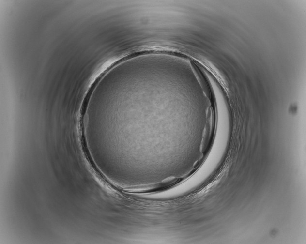 X0000099570893200805161514