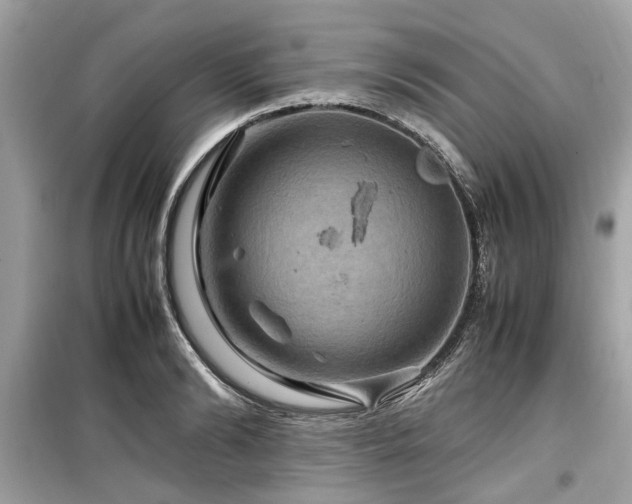 X0000099570894200805161514