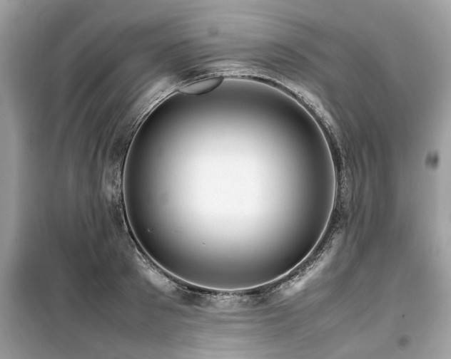 X0000099570897200805161514