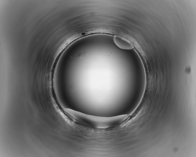 X0000099570898200805161514