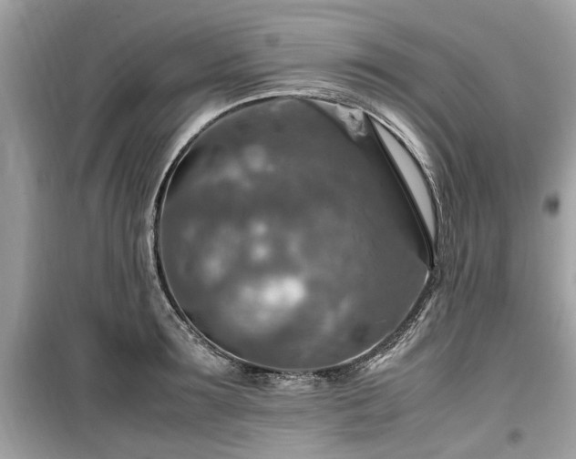 X0000099570899200805161514