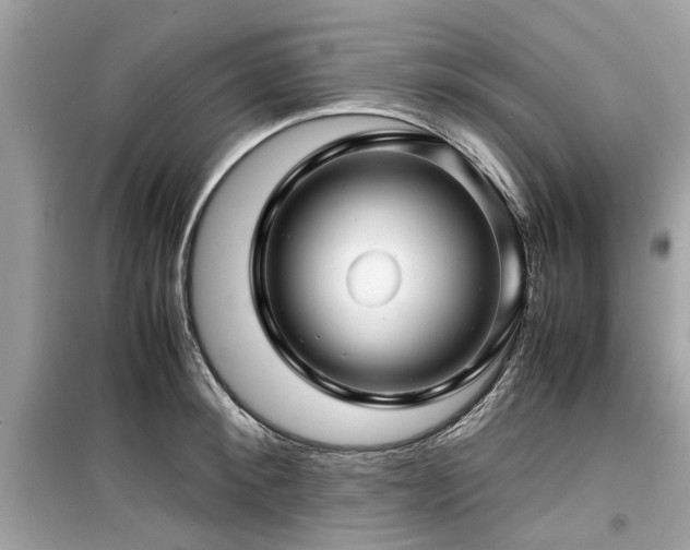 X0000099570900200805161514