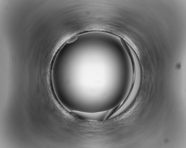 X0000099570901200805161514