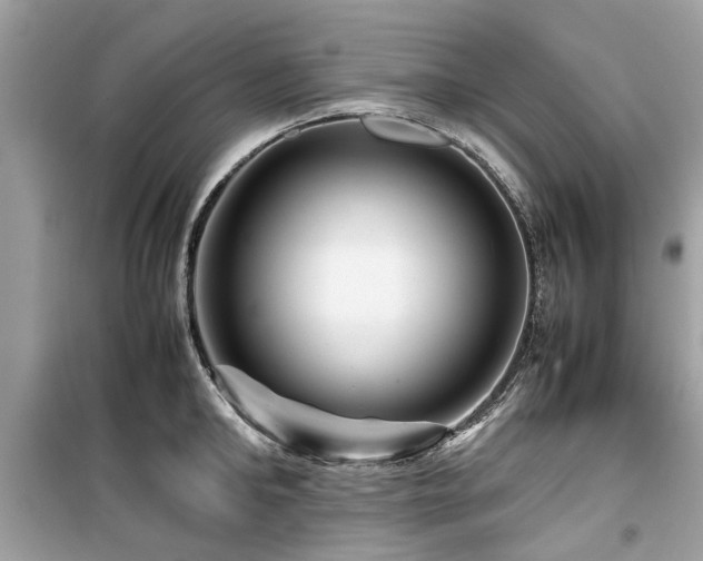 X0000099570902200805161514