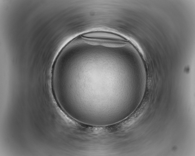 X0000099570903200805161514