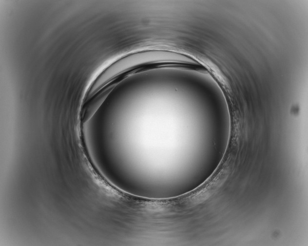 X0000099570904200805161514