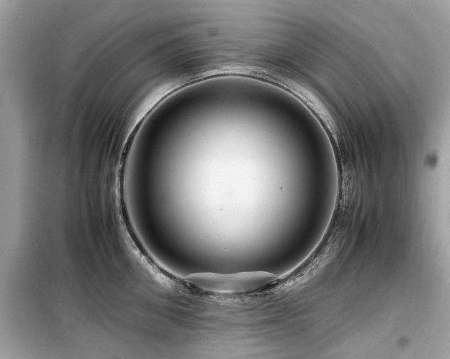 X0000099570906200805161514