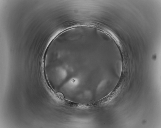 X0000099570907200805161514