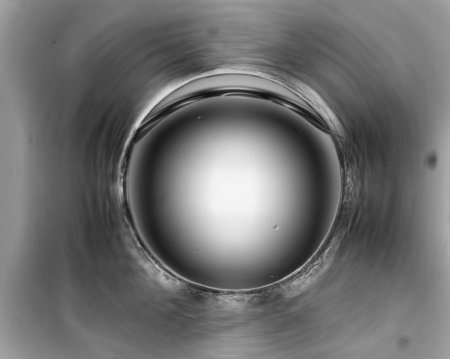 X0000099570908200805161514