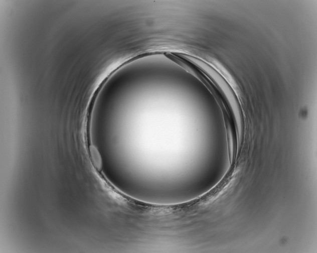 X0000099570909200805161514