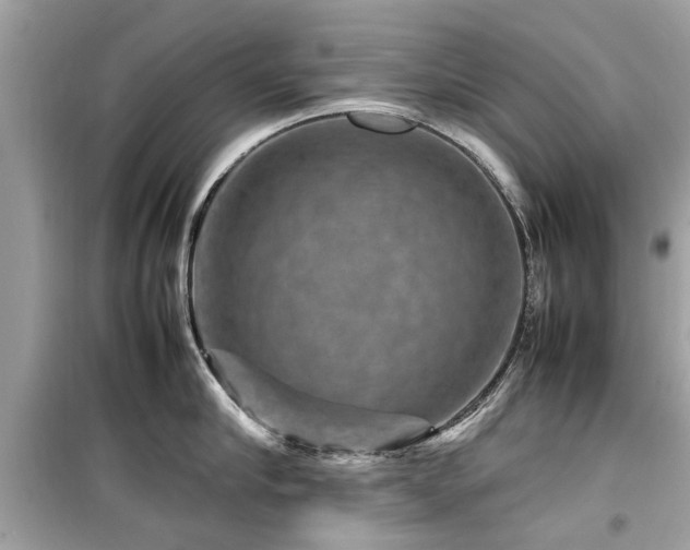 X0000099570910200805161514