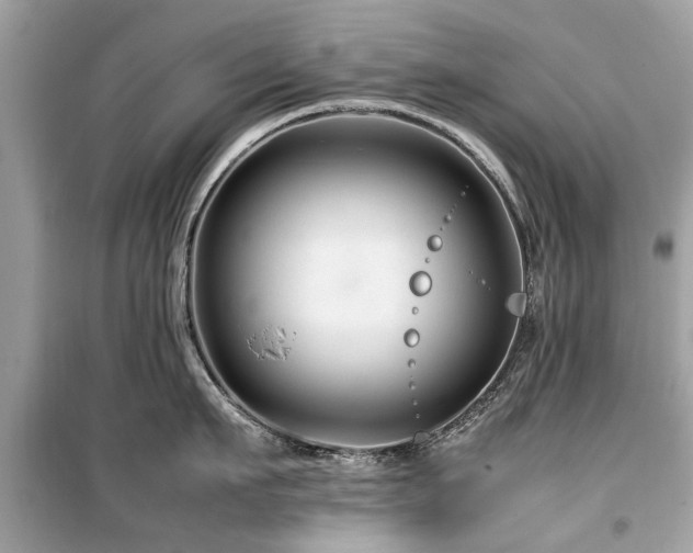 X0000099570911200805161514