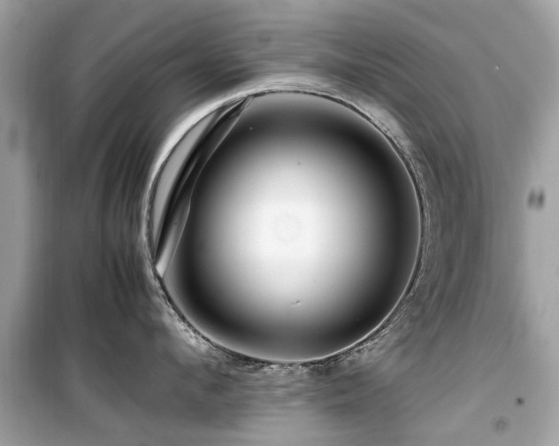 X0000099570912200805161514