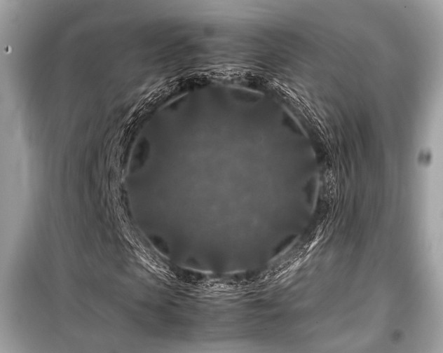 X0000099570913200805161513