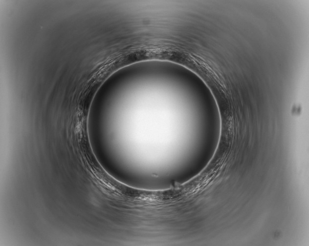 X0000099570914200805161513