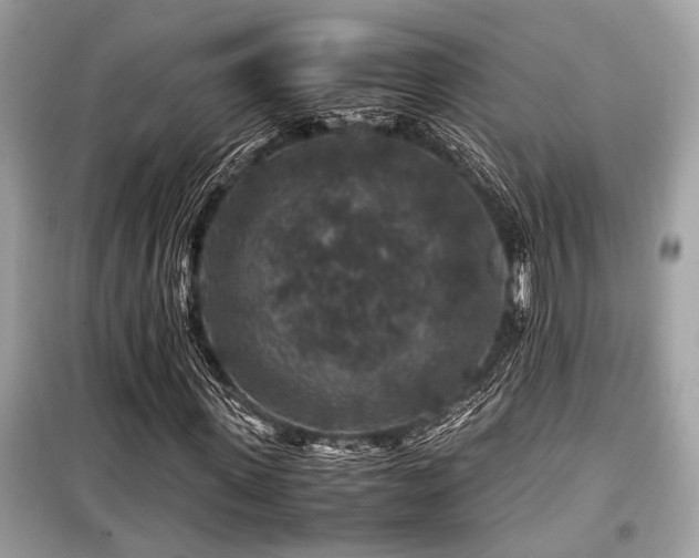 X0000099570915200805161513