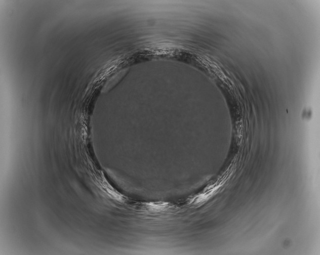 X0000099570916200805161513