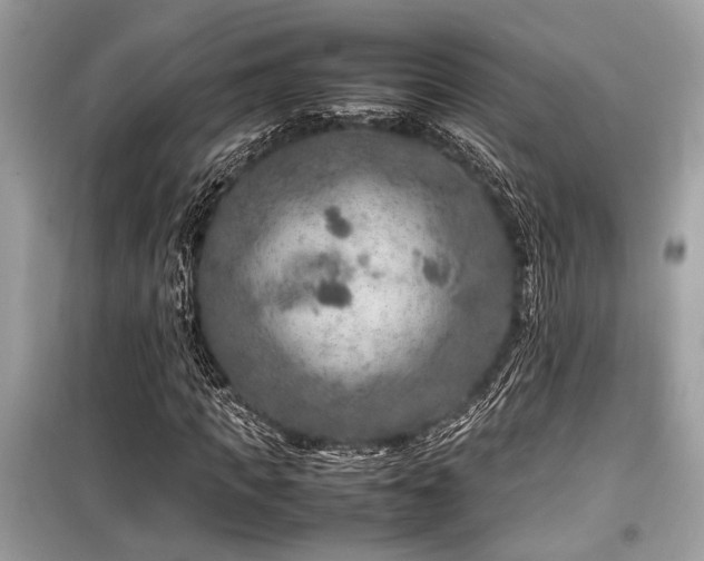 X0000099570917200805161513